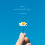 growth through adversity quote, resilience and growth quote, humble beginnings quote, success from struggle quote, beauty from hardship quote, rise from the mud quote, turning pain into growth quote, hardship creates strength quote, self improvement through struggle,