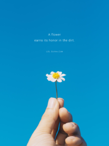 growth through adversity quote, resilience and growth quote, humble beginnings quote, success from struggle quote, beauty from hardship quote, rise from the mud quote, turning pain into growth quote, hardship creates strength quote, self improvement through struggle,