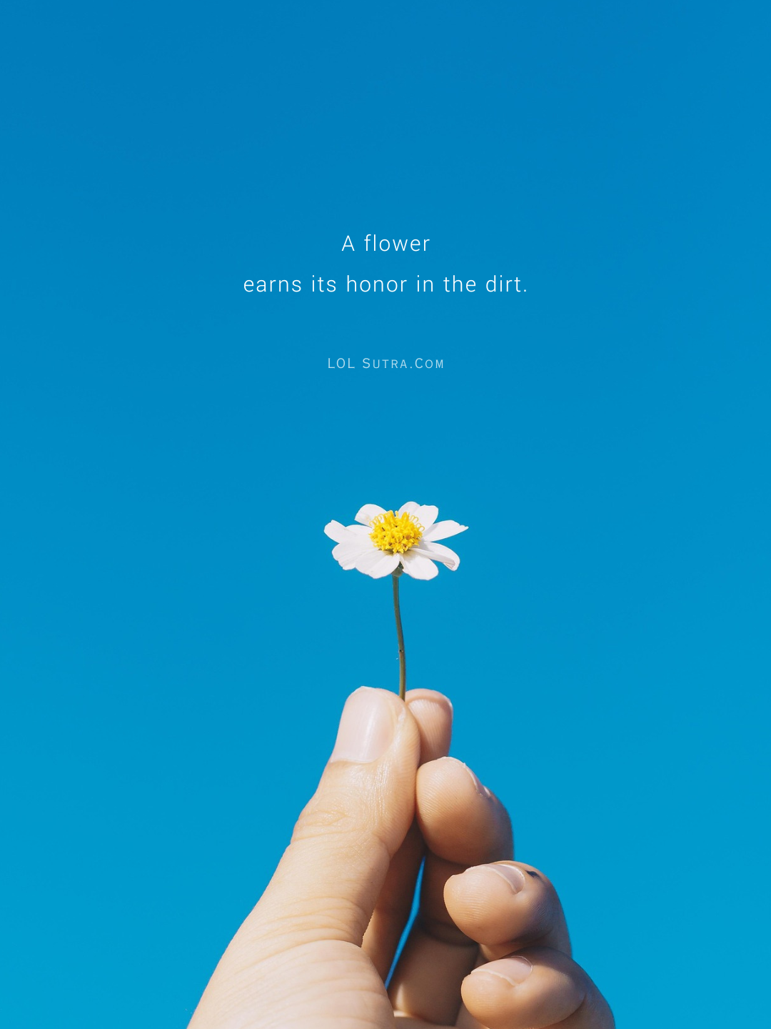 growth through adversity quote, resilience and growth quote, humble beginnings quote, success from struggle quote, beauty from hardship quote, rise from the mud quote, turning pain into growth quote, hardship creates strength quote, self improvement through struggle,